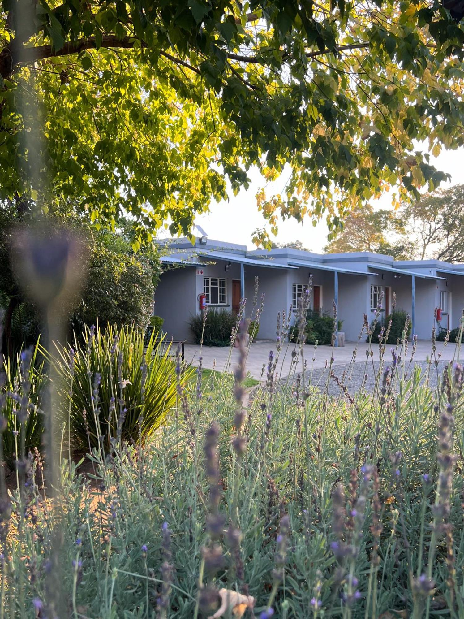 Patterson B&B Newcastle Kültér fotó