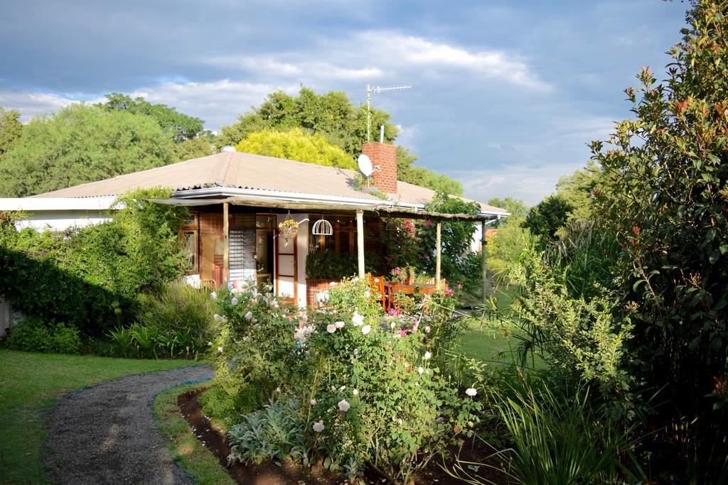Patterson B&B Newcastle Kültér fotó